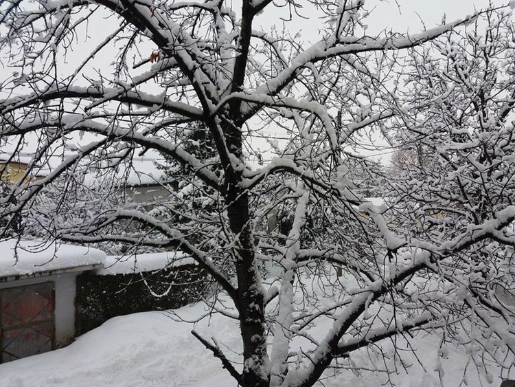 Мокрият сняг допълнително усложнява обстановката в общината