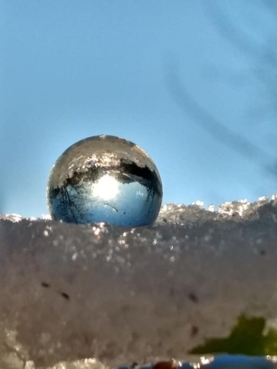 Психично болен рани двама души при обир в оръжеен магазин в Горна Оряховица