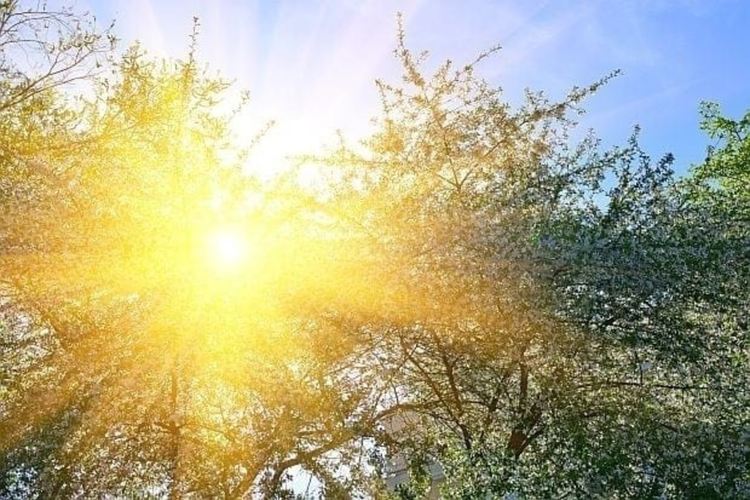 Слънчево и топло до 27 градуса в събота