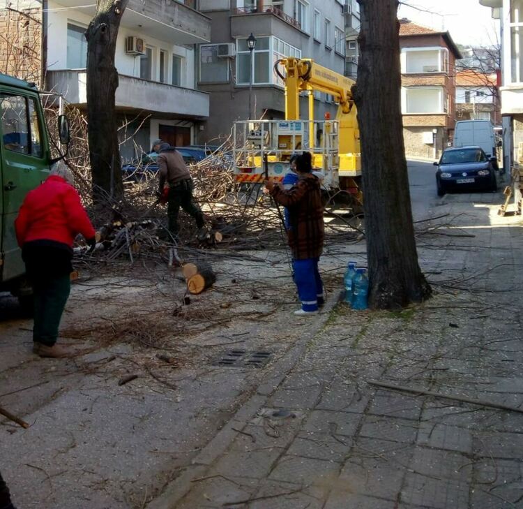 Продължава кастренето на клони в Асеновград