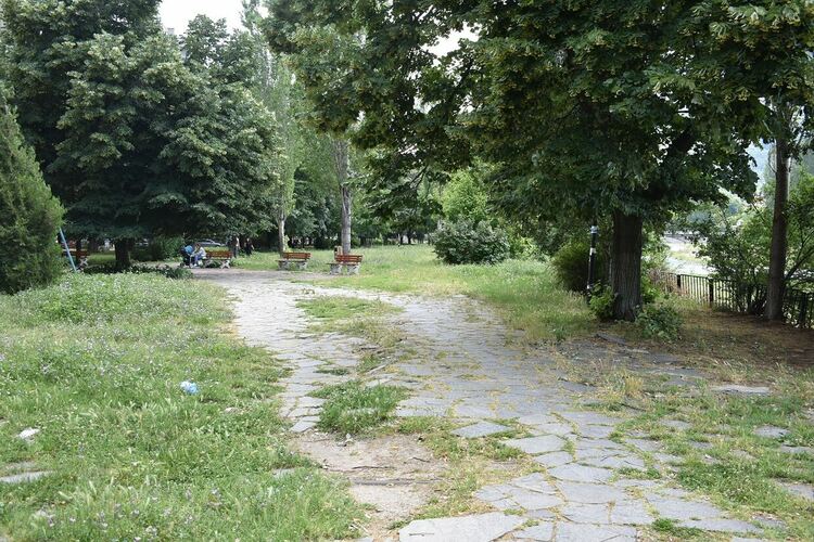 Пръскат срещу комари в Асеновград 