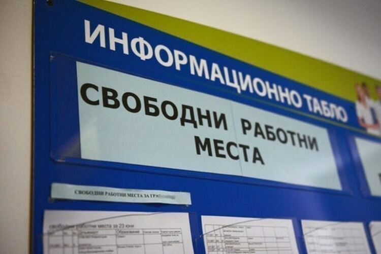 Свободните работни места в Бюрото по труда в Първомай: