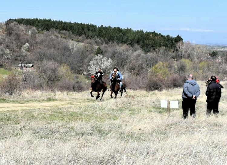 Държавно първенство по конен спорт ще се състои в Червен 