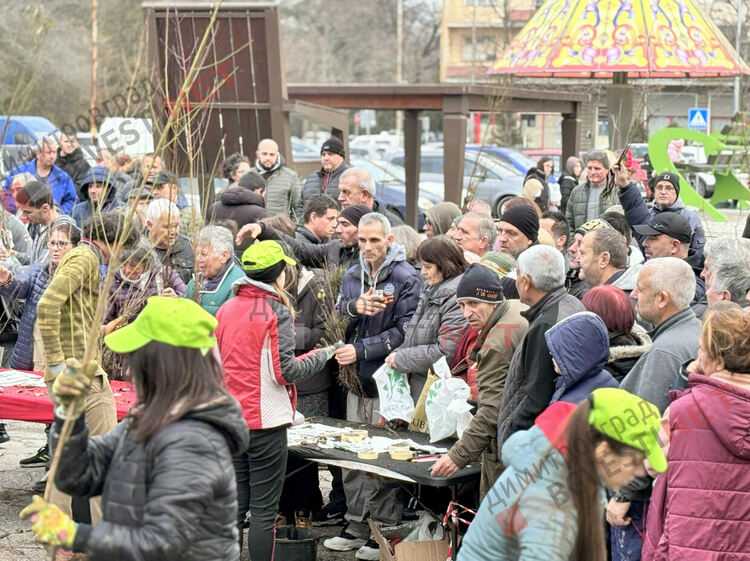 250 000 дървета подарък за общини и организации от Гората.бг – срокът изтича