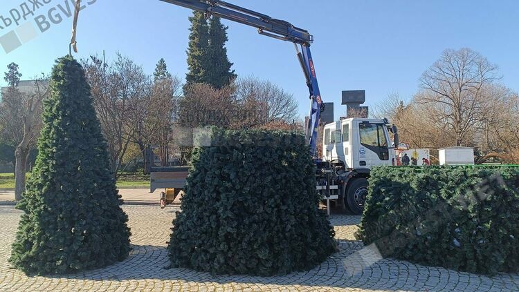  Демонтираха Коледната елха на Кърджали, изкуственото дърво радва еколозите