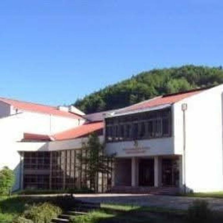 Регионална библиотека „Николай Вранчев“ обяви конкурс за рисунка „Образът на Орфей в изкуството“