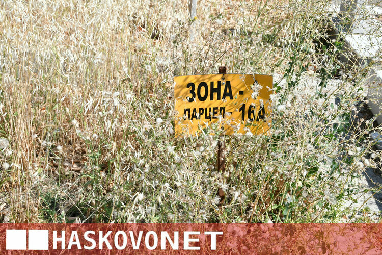 Хасковлия се жалва от вида на „Пловдивските гробища“