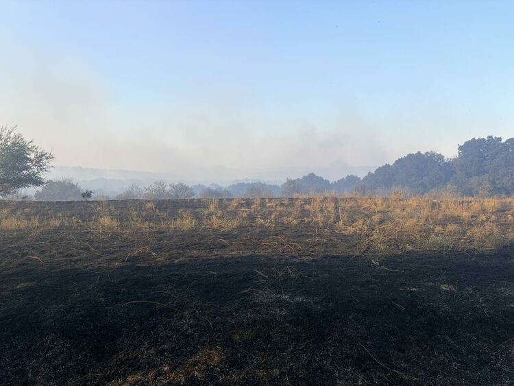 Пожарът в Сакар е бил локализиран