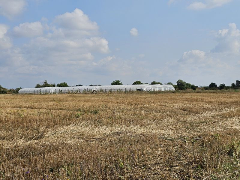Продавам 24,860 дка земя в землището на с. Крислово